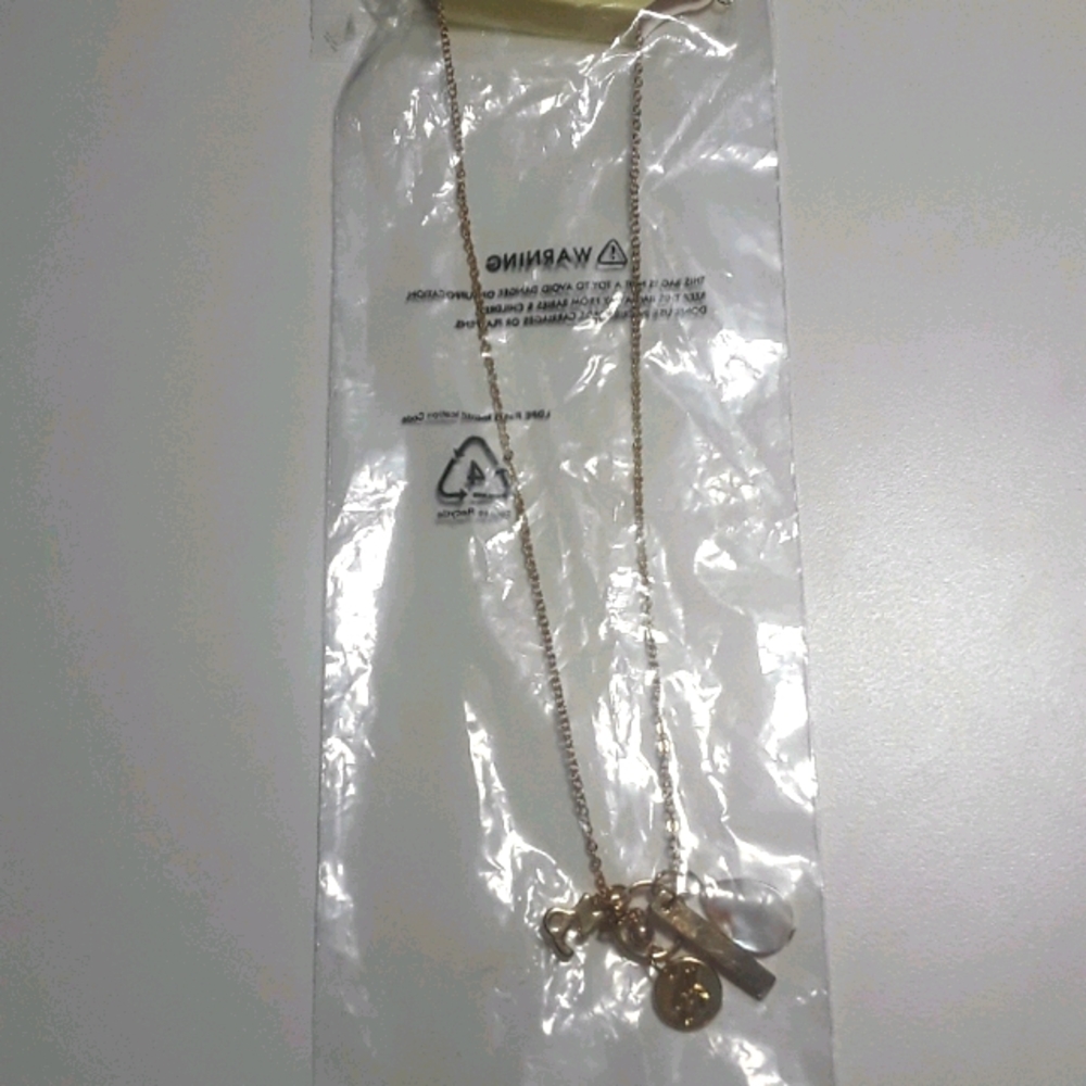 Multiple charm pendant